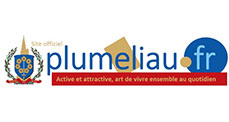 Image de  Plumeliau