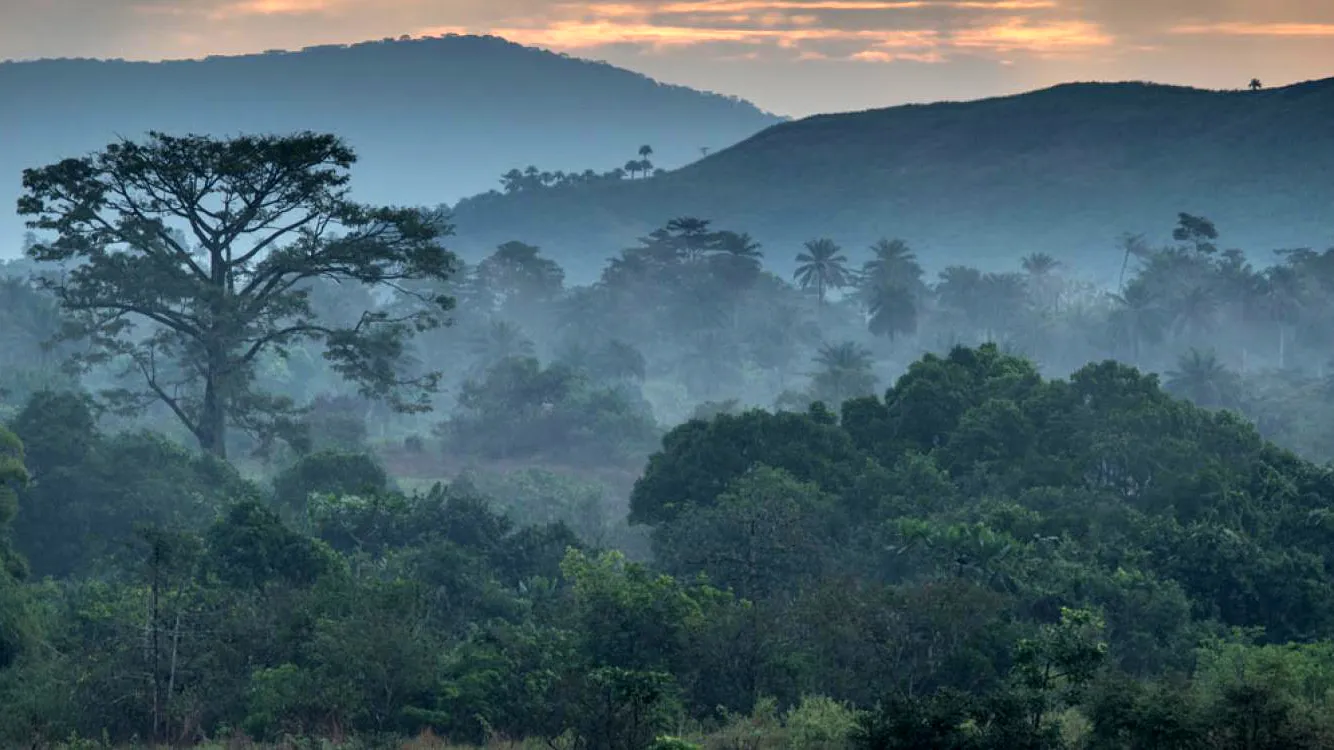Lire la suite à propos de l’article Projet en Guinée