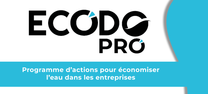 Vous consultez actuellement EUROTEC DÉVELOPPEMENT partenaire ECODO PRO !